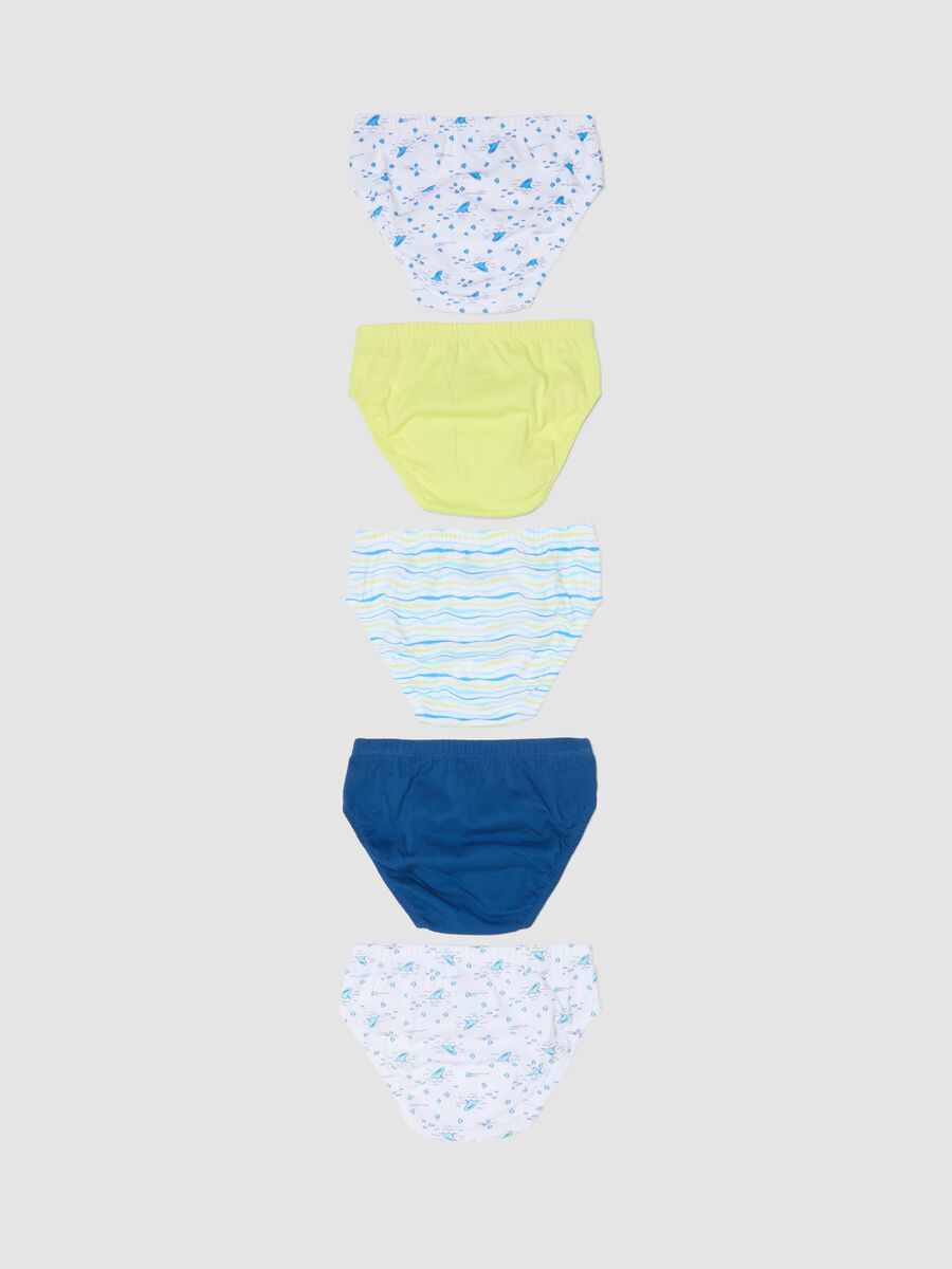 Boys&rsquo; multicolour pure cotton multipack briefs_1