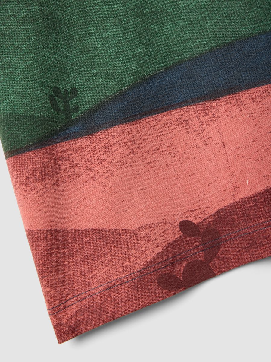 Multicolour striped pure cotton regular fit T-shirt for boys_3