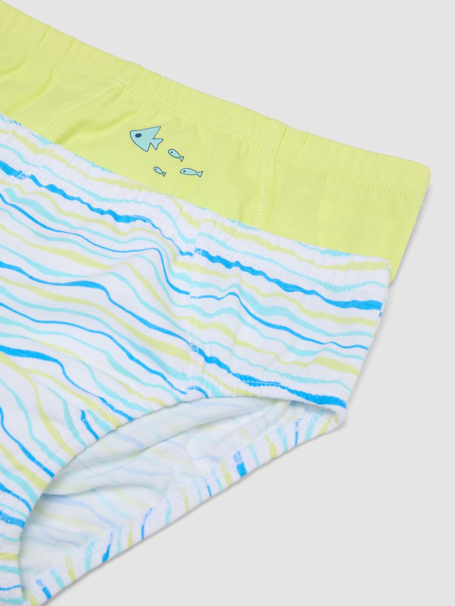 Boys&rsquo; multicolour pure cotton multipack briefs_2