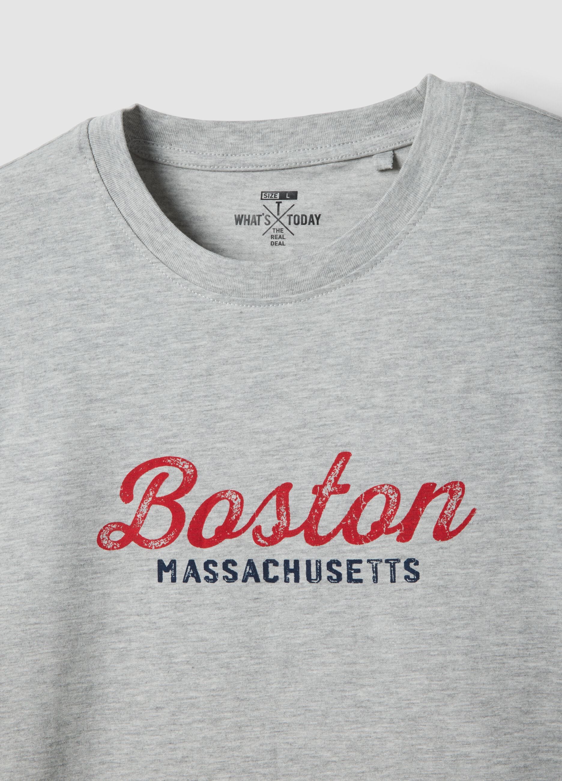 Grey printed T-shirt in pure cotton, regular fit