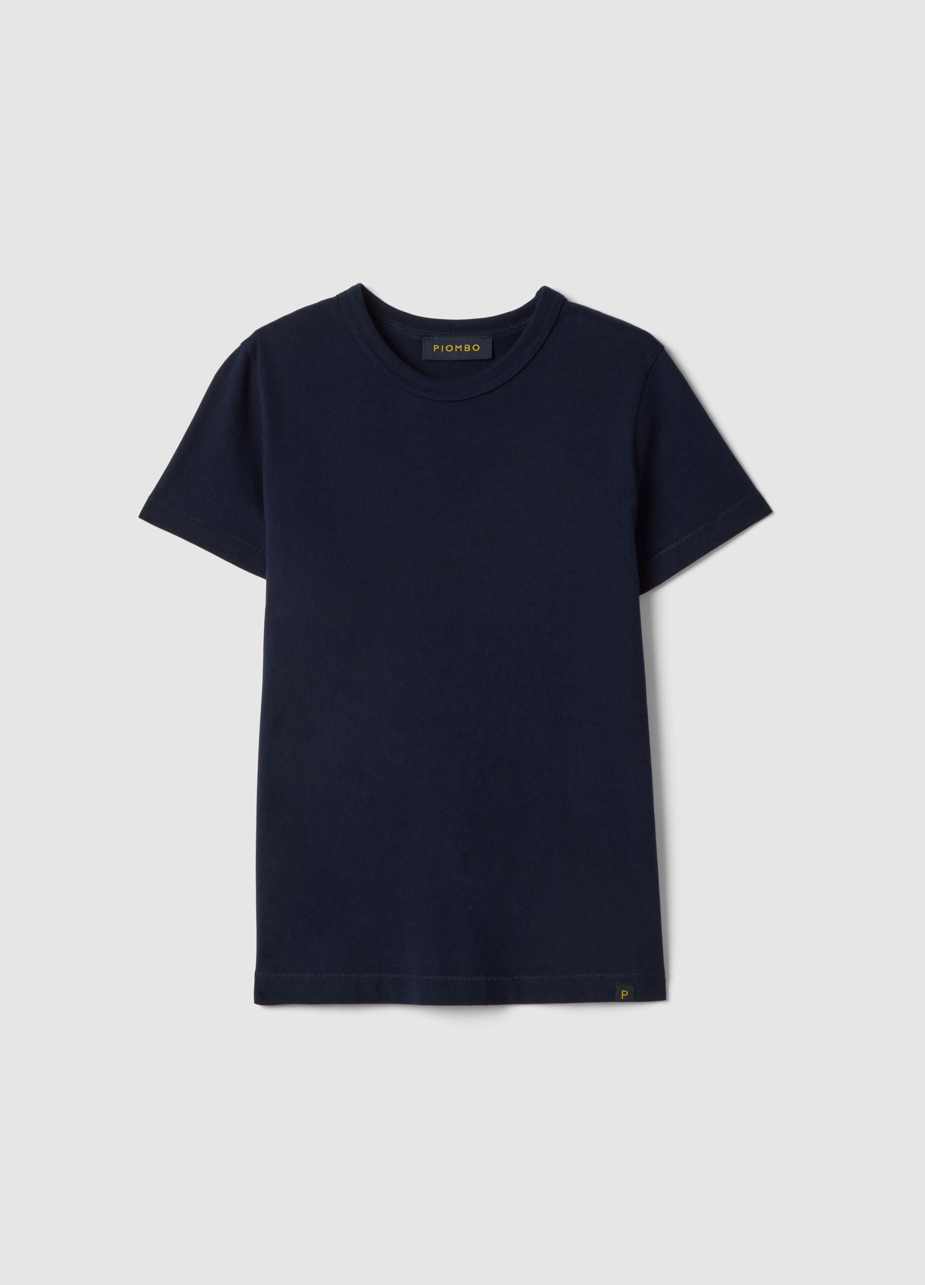 Regular Fit Blue Crewneck Pure Cotton T-Shirt