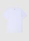 White pure organic cotton V-neck T-shirt_4