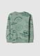 Kids' regular fit pure cotton green sweatshirt with print_1