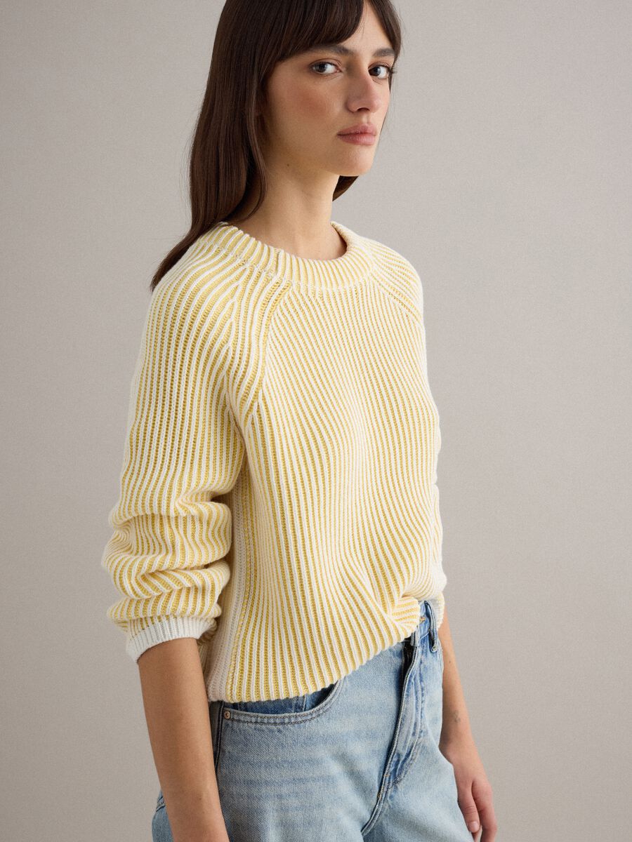 Multicolour striped pure cotton pullover - regular fit_0