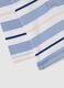 Baby Polo in Pure Cotton with Multicolor Stripes Regular Fit_3