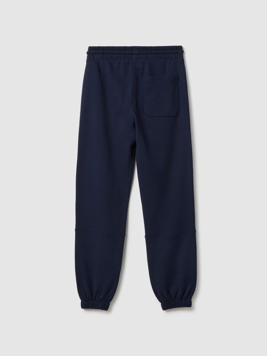 Boy's Blue Jogger Trousers in Pure Organic Cotton Regular Fit_4