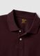 Purple slim fit pure cotton polo shirt_5