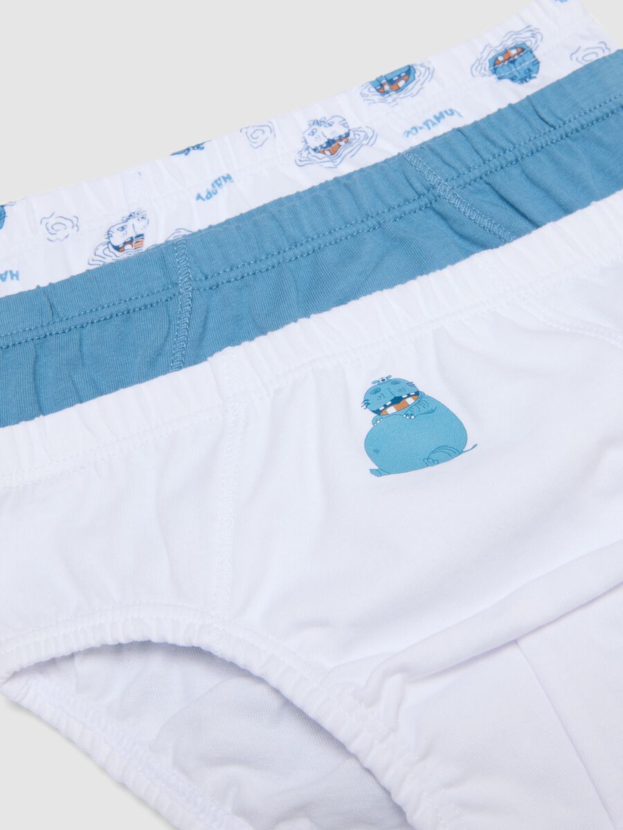 Multipack pure cotton multicolour boys' briefs regular fit_2