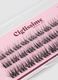 Press&GO Clean Girl Style Lash Pack_2