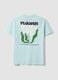 Light blue pure cotton jersey T-shirt with print, regular fit_5