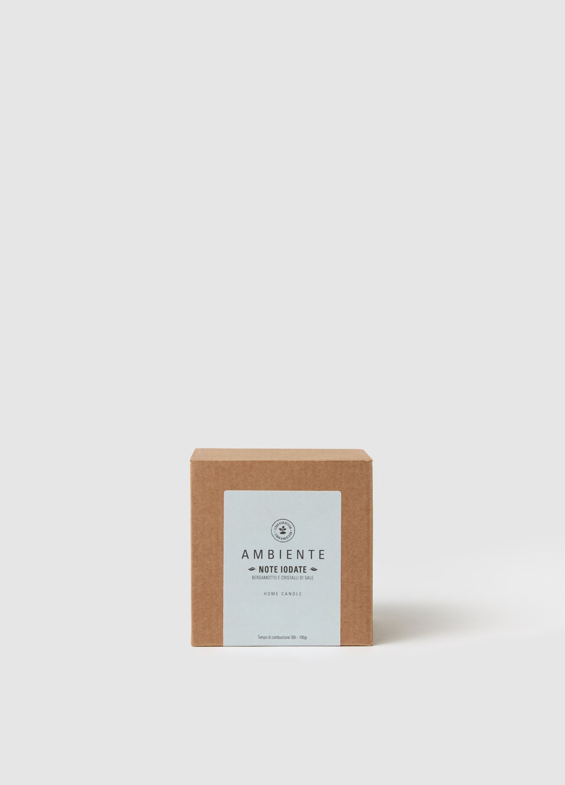 Ambient Candle "Iodized Notes"