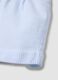 Blue striped pure cotton shorts_3