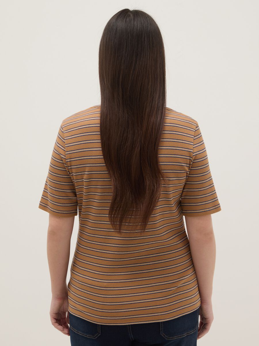 T-shirt in cotone elasticizzato a righe multicolor regular fit_2