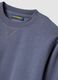Grey crew-neck cotton-blend sweatshirt, regular fit_2