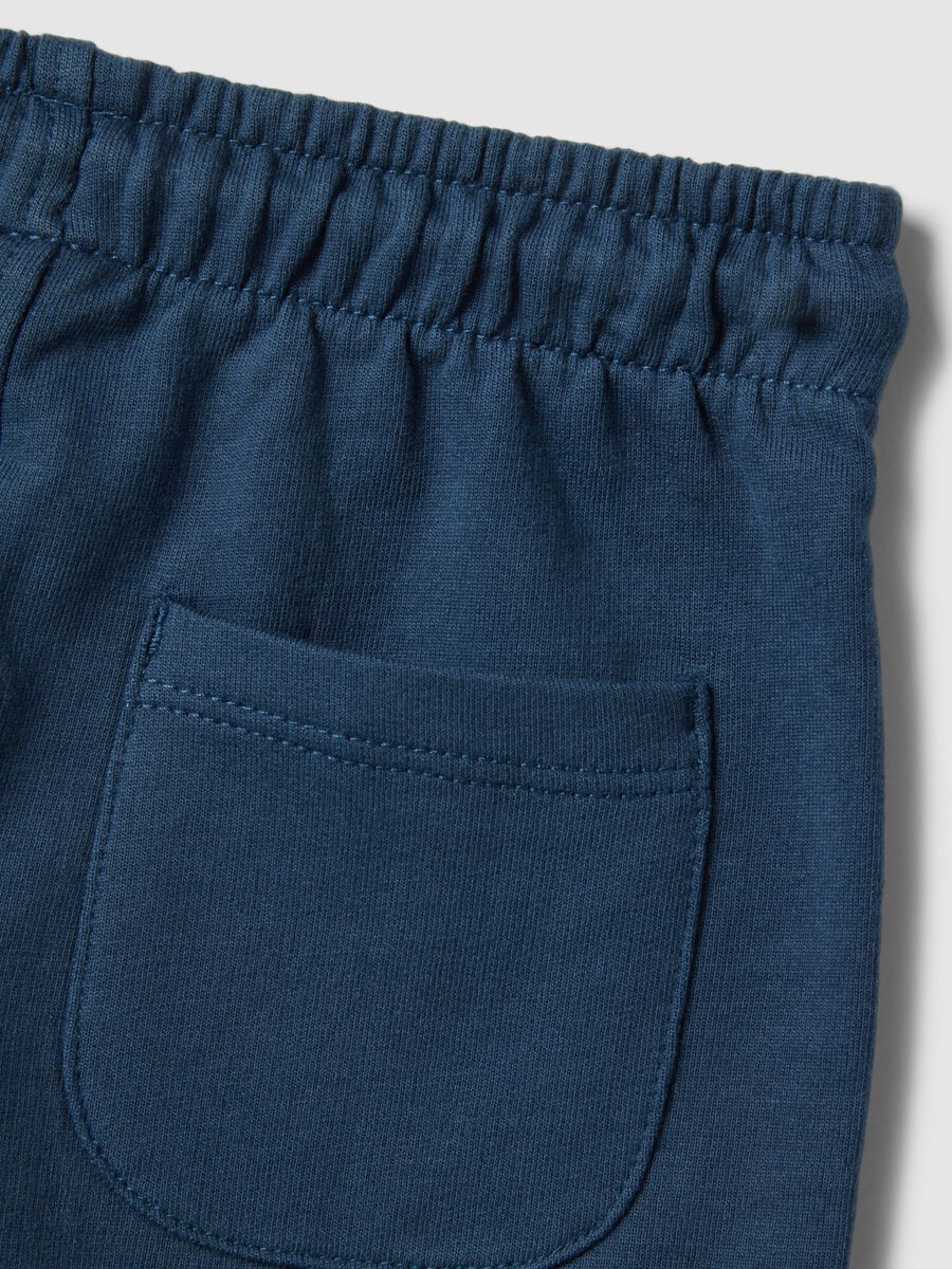 Blue pure cotton regular fit shorts for babies_3