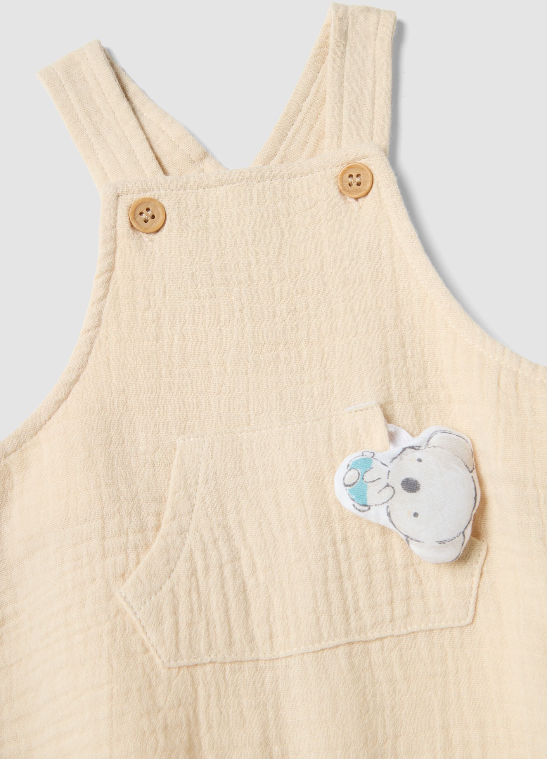 Newborn multicolour pure cotton t-shirt and overall set, relaxed fit