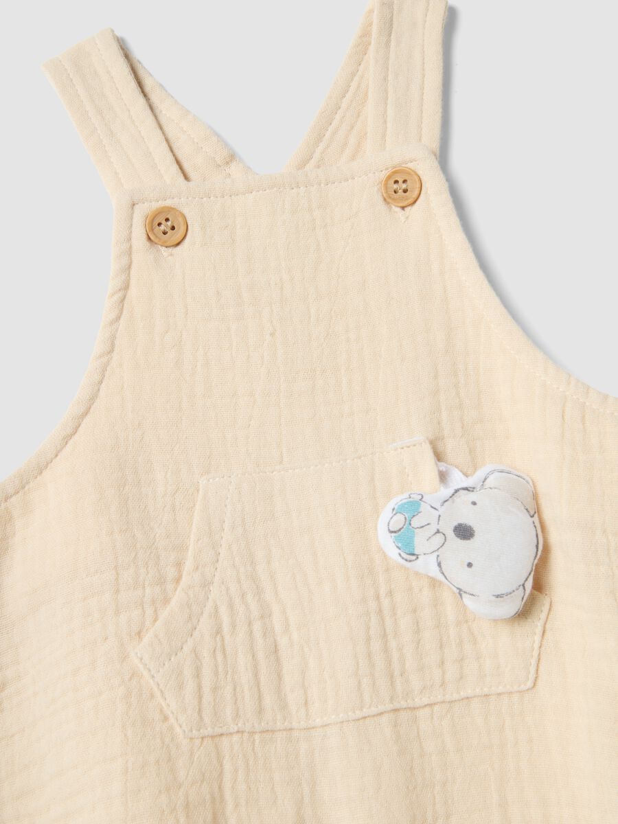 Newborn multicolour pure cotton t-shirt and overall set, relaxed fit_3