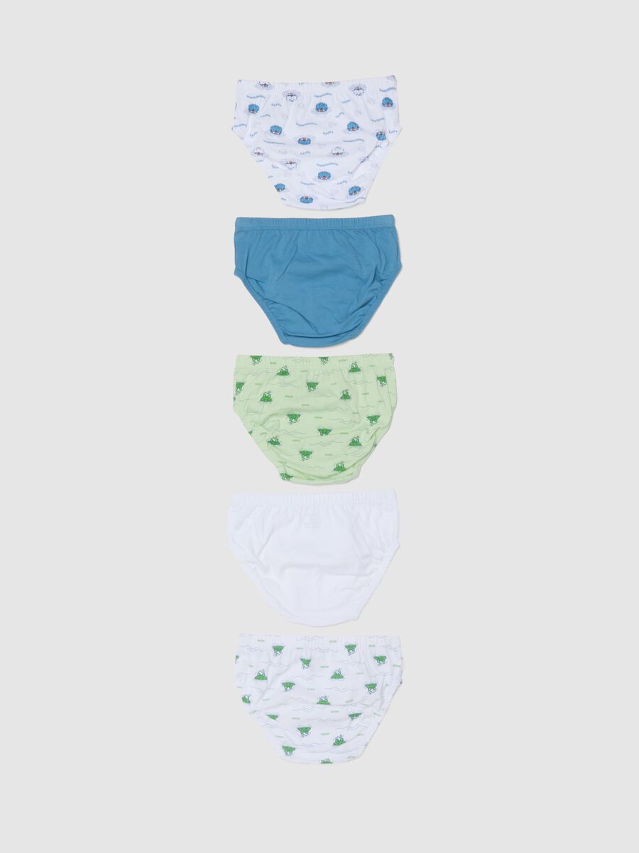 Multipack pure cotton multicolour boys' briefs regular fit_1