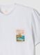 White pure cotton T-shirt with chest print, regular fit_5