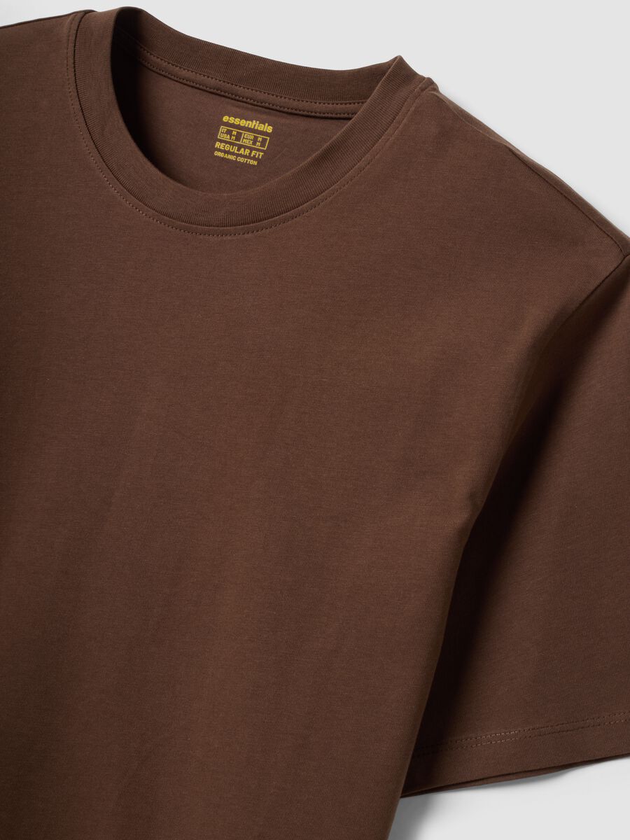 Brown regular-fit T-shirt in pure organic cotton jersey_2