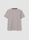 Multicolour relaxed-fit striped pure cotton T-shirt with chest embroidery_1