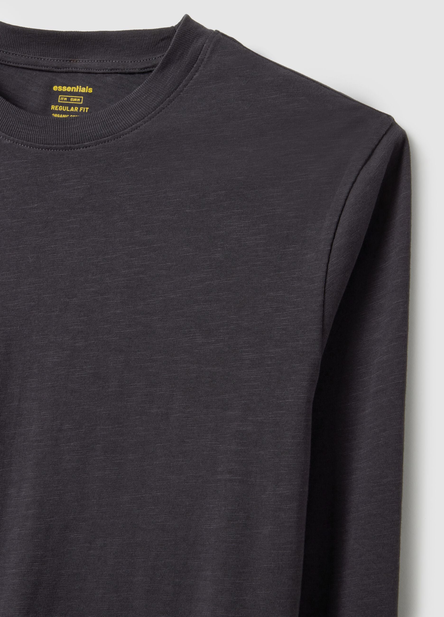 Grey long-sleeve pure cotton regular fit T-shirt