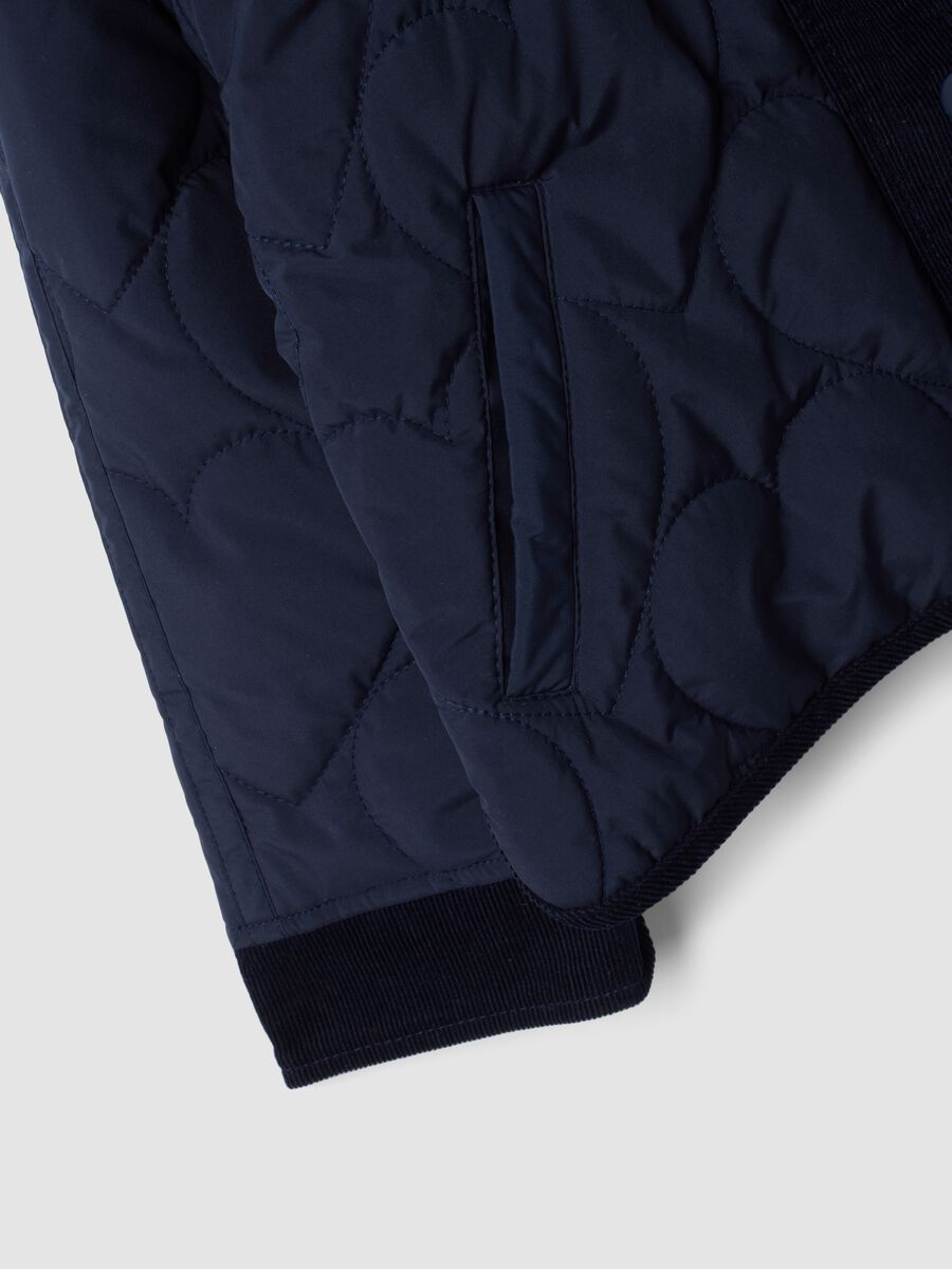 Girls&rsquo; blue quilted hooded jacket with ribbed trims_2