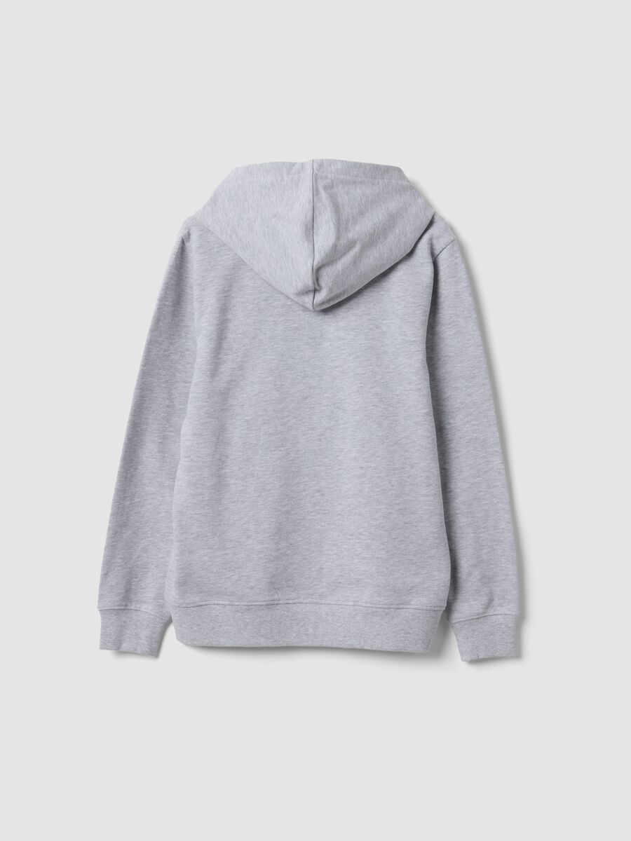 Grey hooded sweatshirt in 100% organic cotton, regular fit, for boys_1