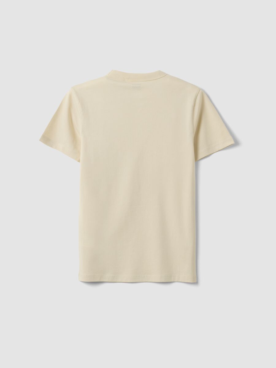 Beige pure cotton boys&rsquo; regular fit T-shirt_4