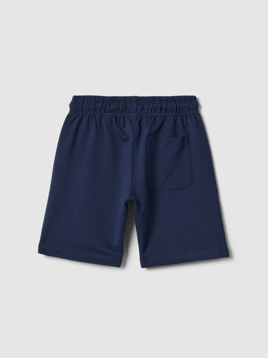 Boys' Regular Fit Blue Pure Cotton Shorts_1