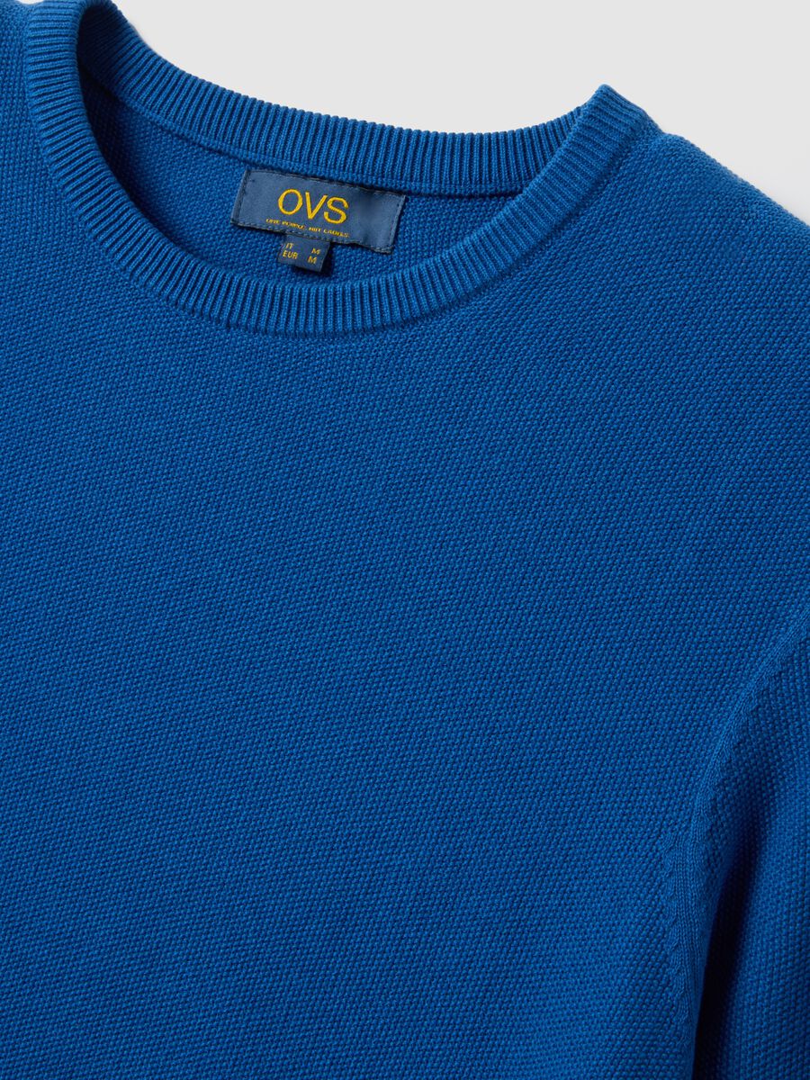 Blue Crew Neck Sweater in Pure Cotton Regular Fit_5