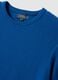 Blue Crew Neck Sweater in Pure Cotton Regular Fit_5