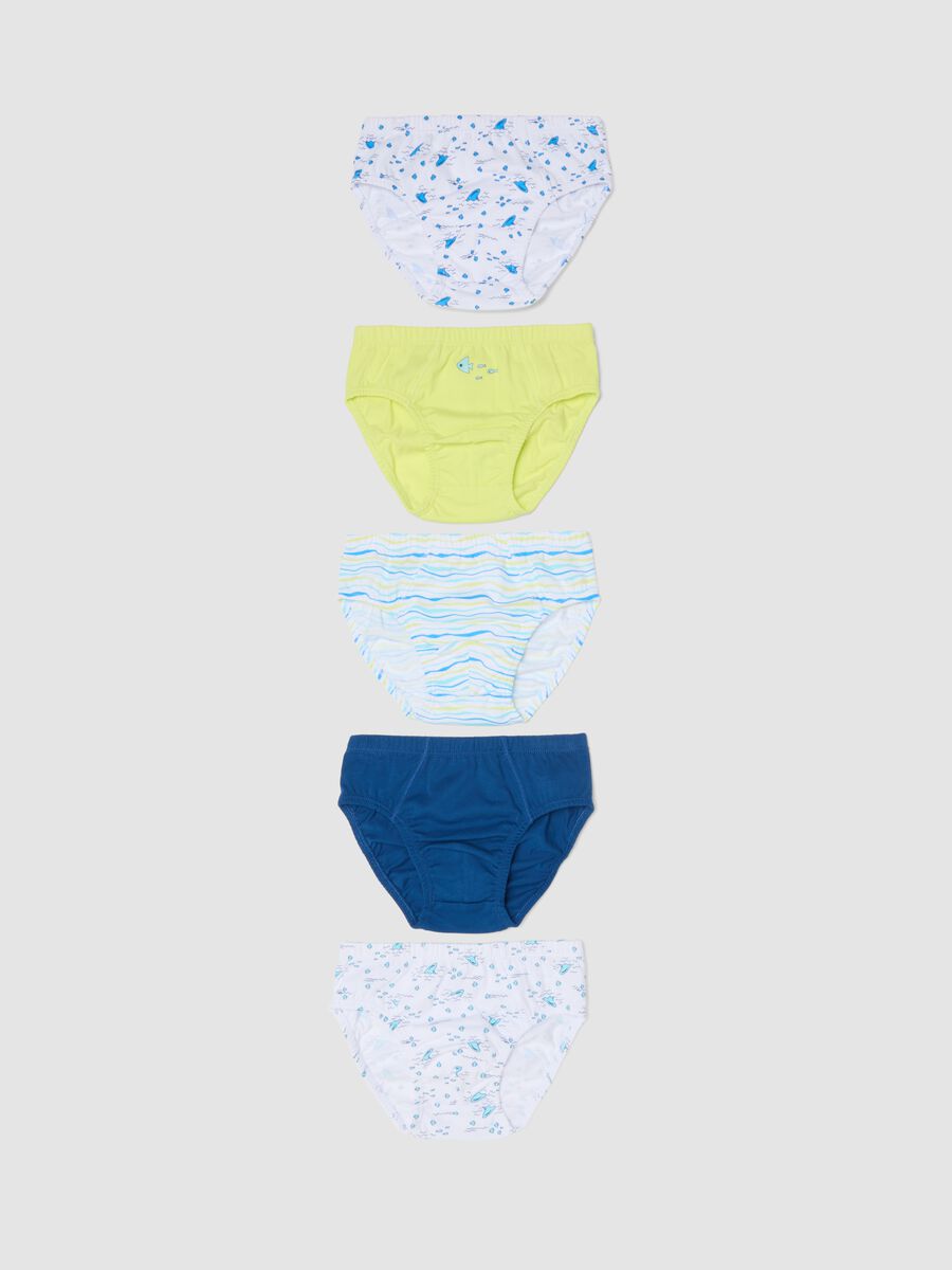 Boys&rsquo; multicolour pure cotton multipack briefs_0