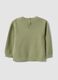 Children's green pure cotton regular fit jumper with tiger_1