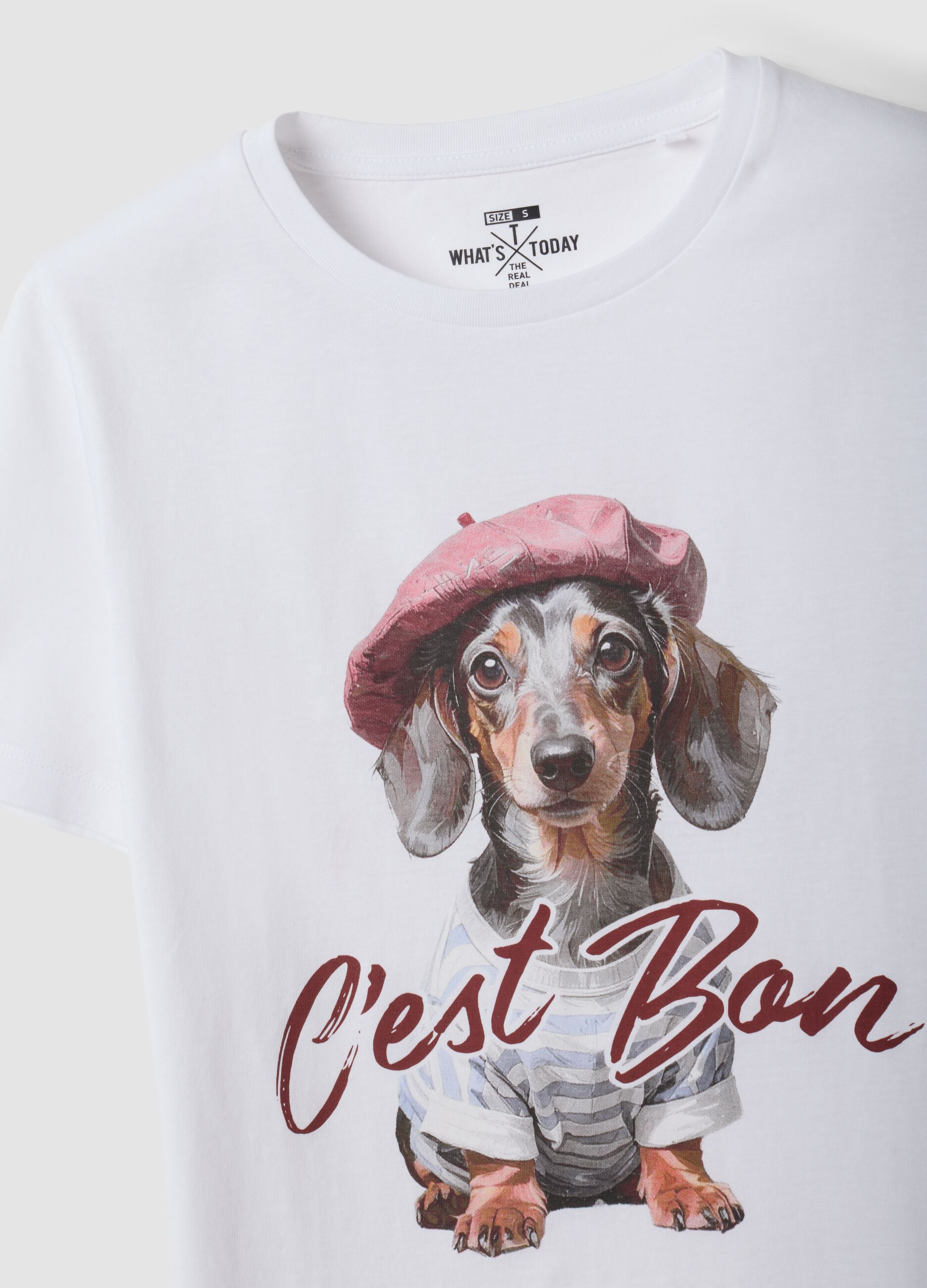 White pure cotton jersey T-shirt with puppy print, regular fit
