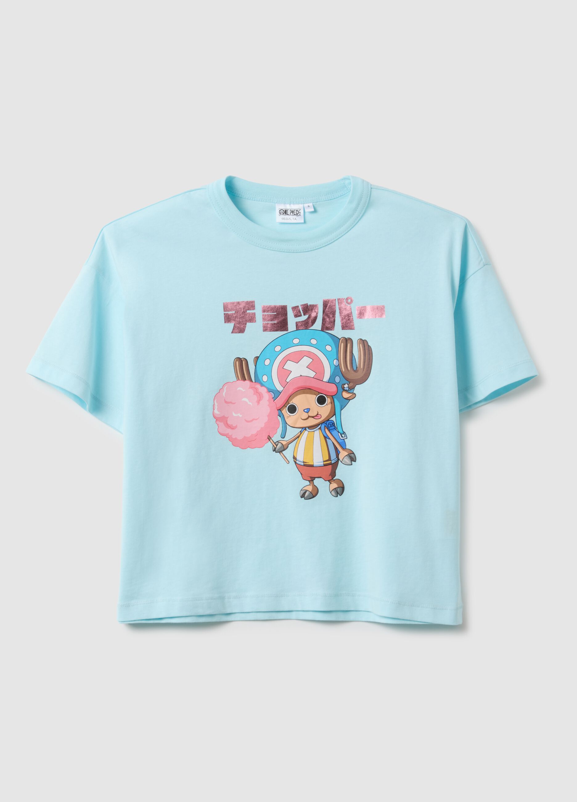 Sky Blue Pure Cotton Regular Fit T-shirt with One Piece Print