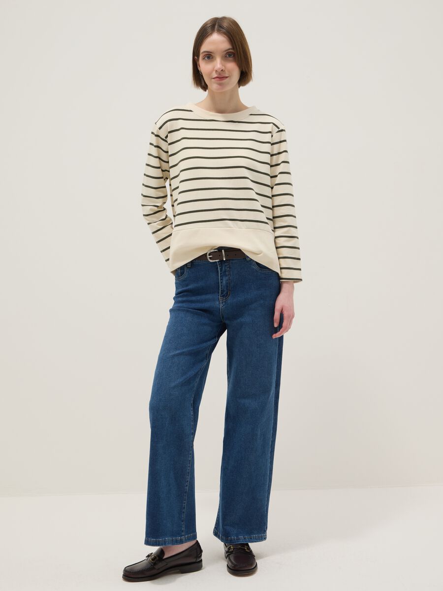 Multicolour striped stretch cotton blend jumper, regular fit_1