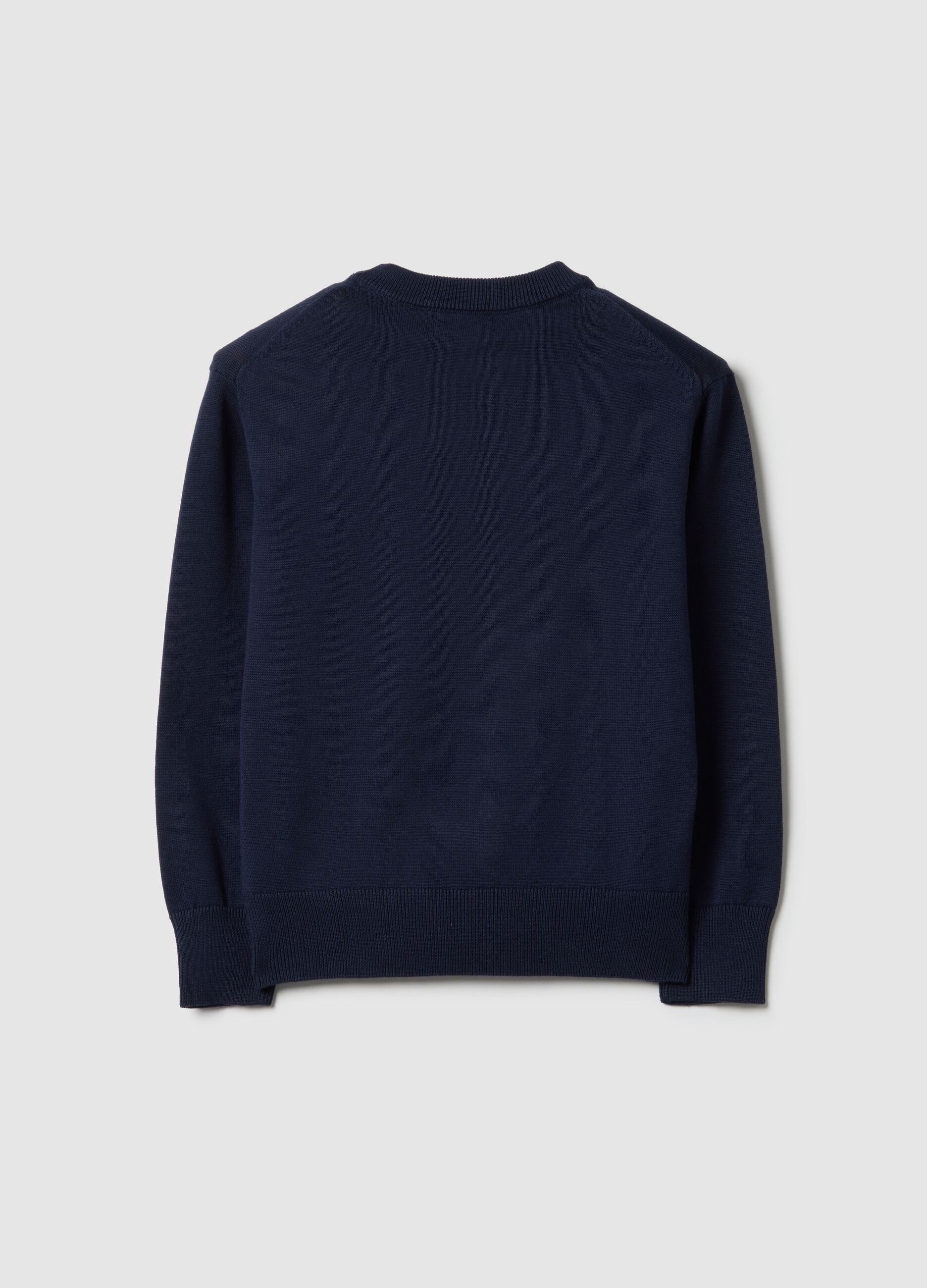 Boys' Blue Crew Neck Pure Cotton Sweater Regular Fit