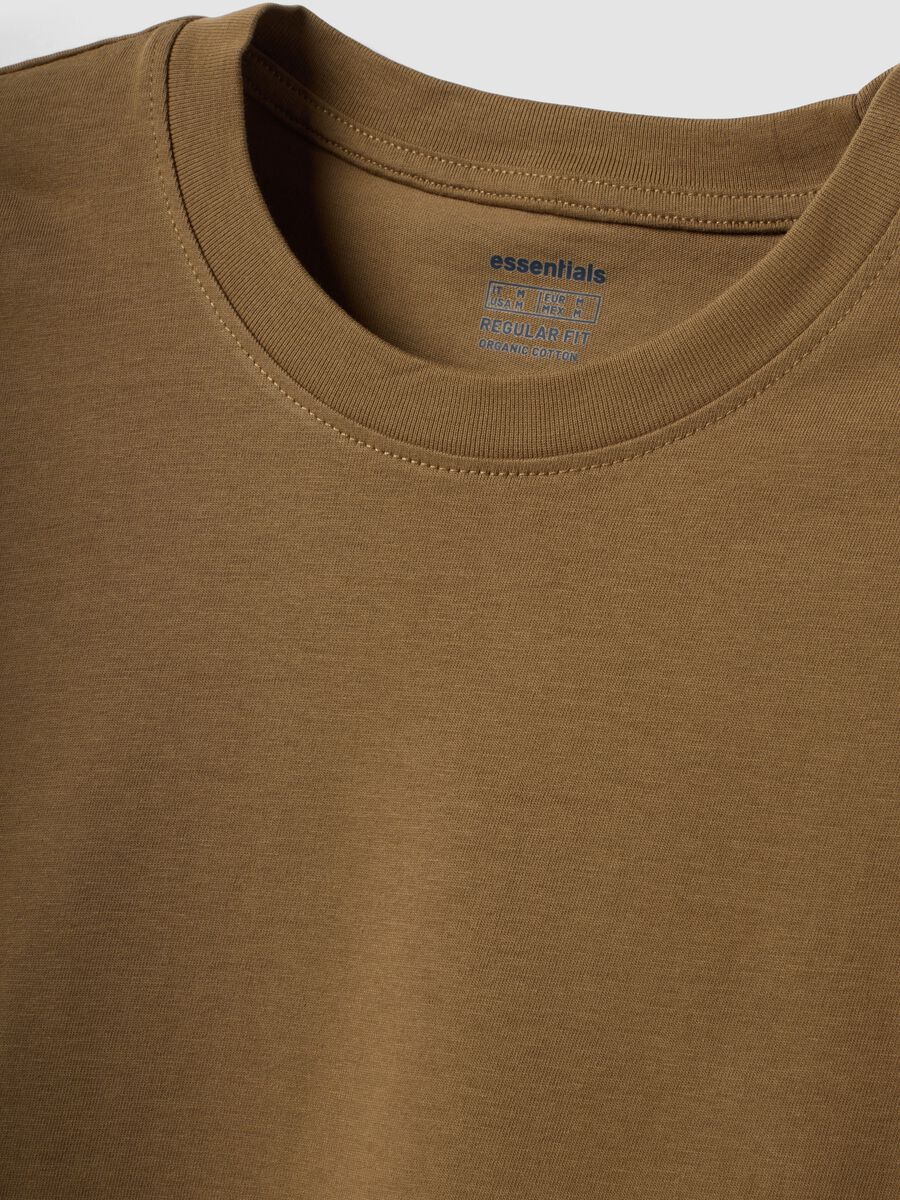 Brown pure organic cotton jersey T-shirt, regular fit_2