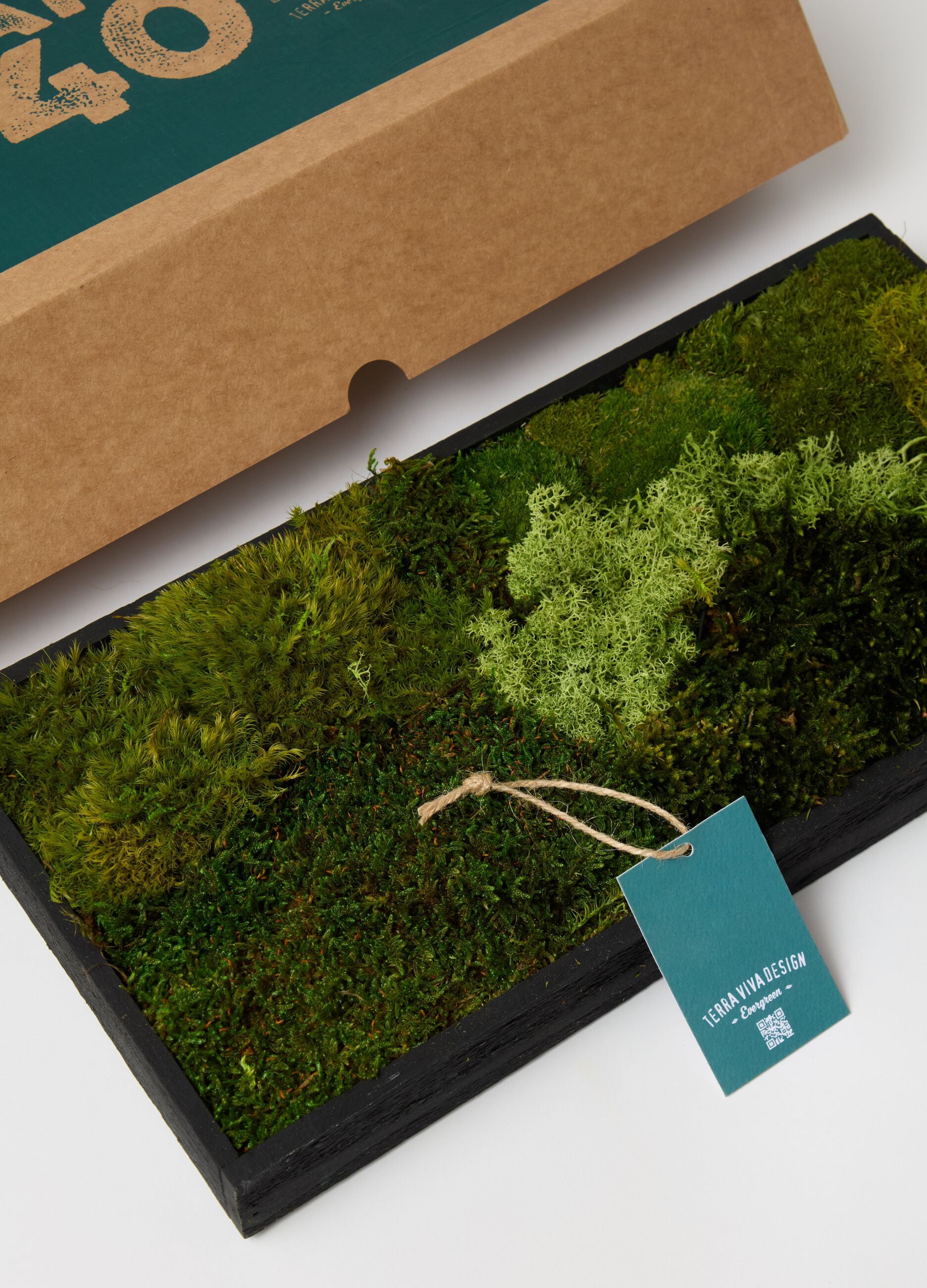 Evergreen Vertical Garden Rectangle