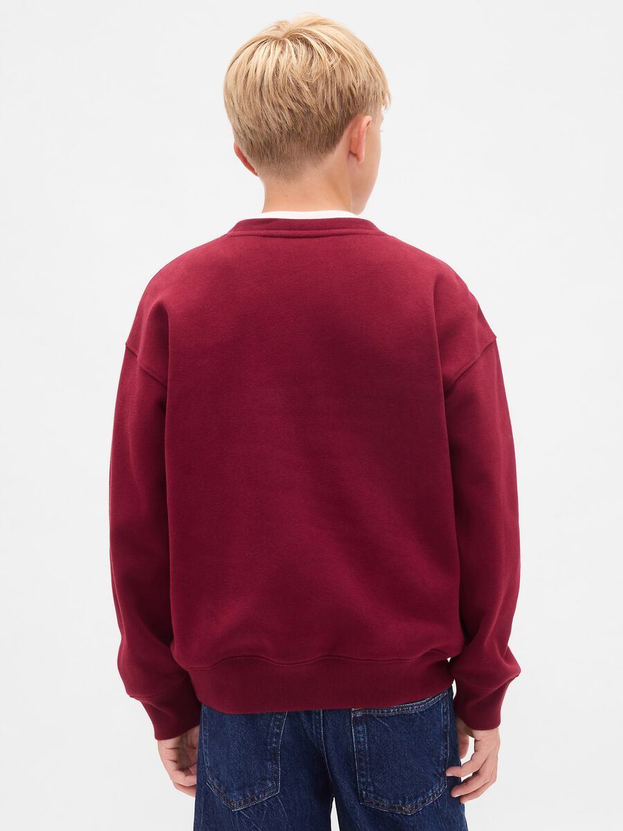 Red crewneck sweatshirt_1