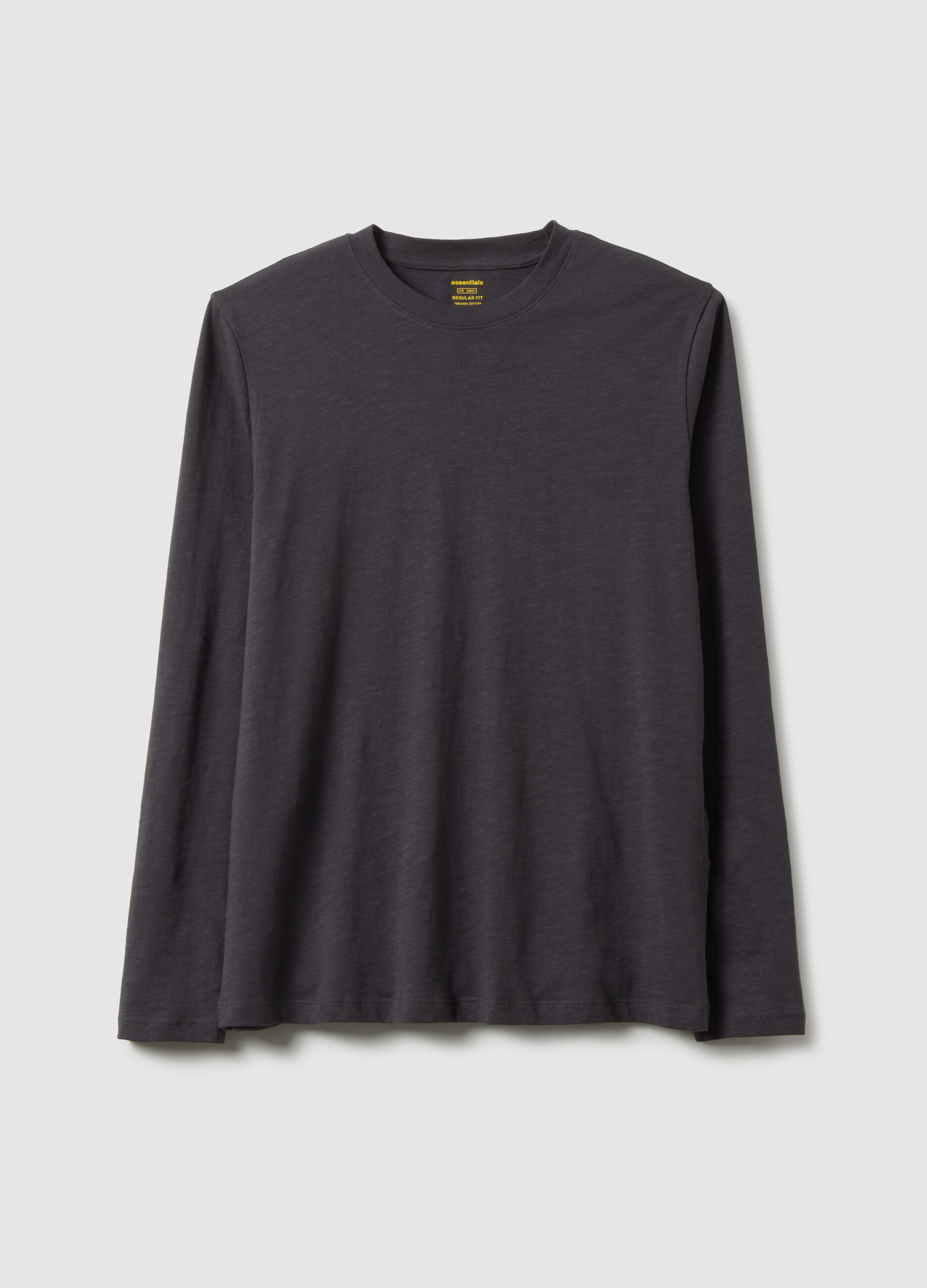 Grey long-sleeve pure cotton regular fit T-shirt