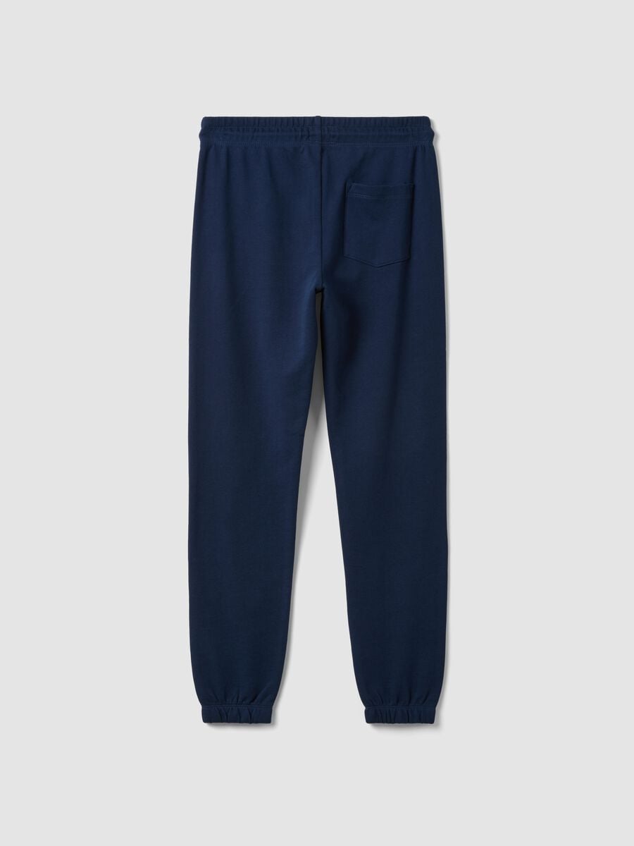 Blue pure cotton joggers with college print for boys_4
