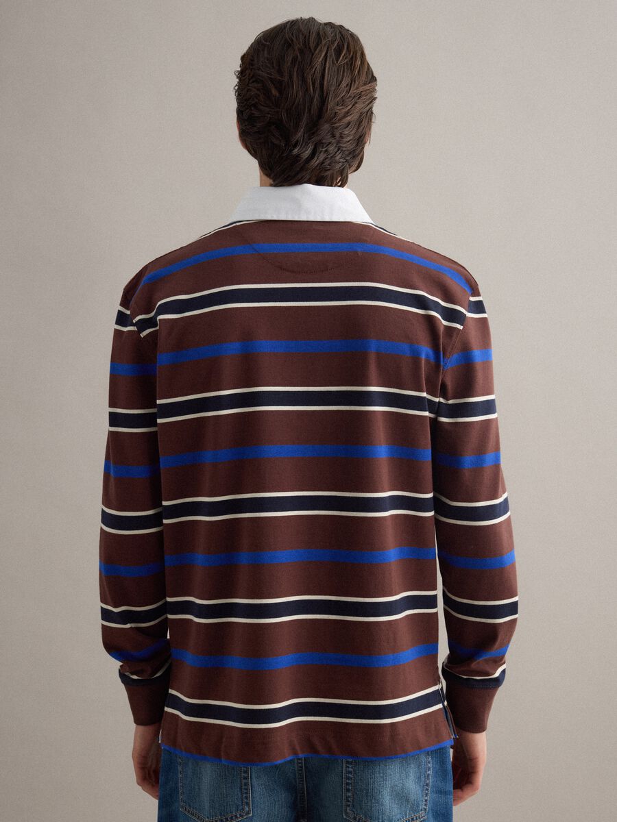 Multicolour striped long-sleeve polo in pure cotton, regular fit_3
