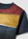 Multicolour striped pure cotton regular fit T-shirt for boys_2