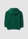 Green pure cotton hoodie, regular fit, for boys_5