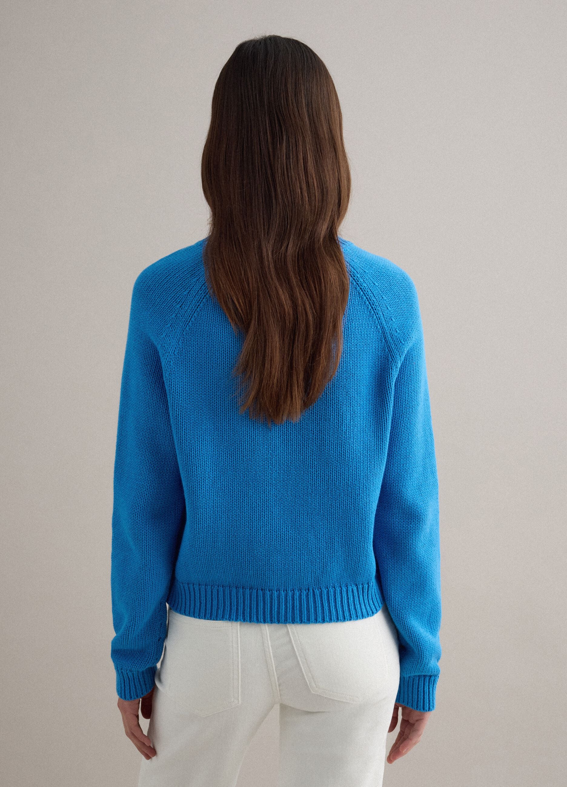 Blue crew neck jumper in pure cotton regular fit