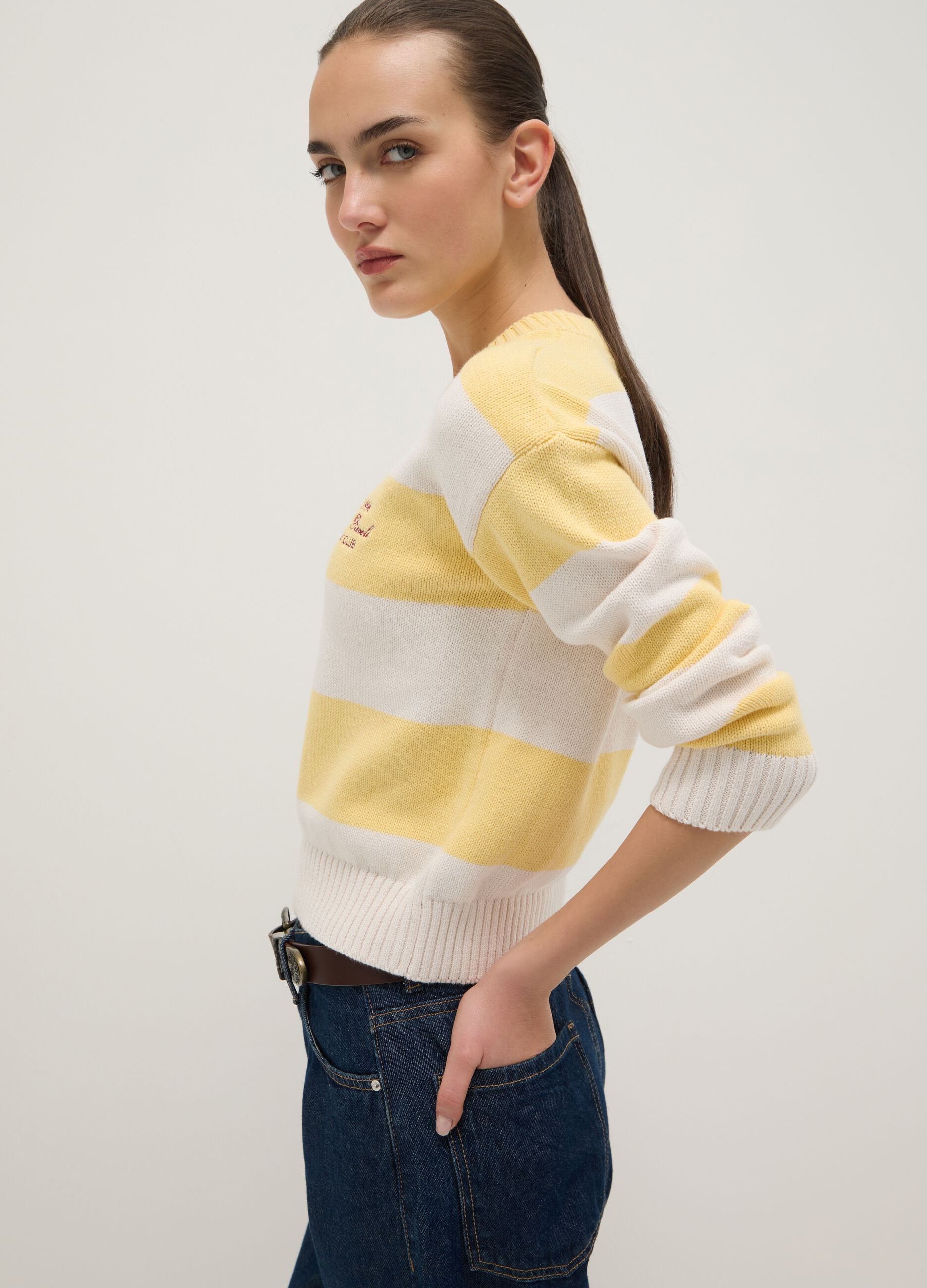 Multicolour striped cotton blend regular fit jumper