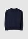 Boys' Blue Crew Neck Pure Cotton Sweater Regular Fit_0