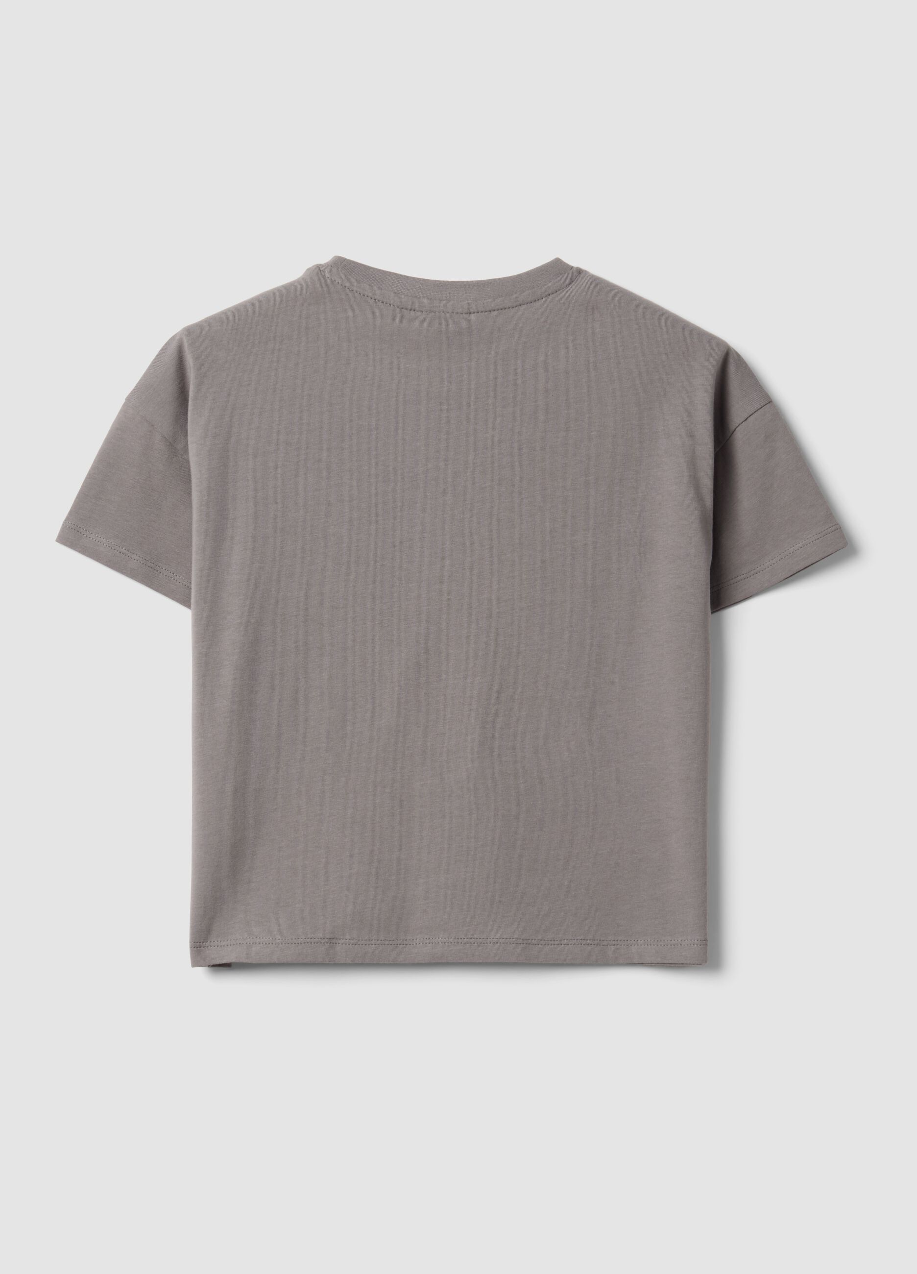 Girls&rsquo; grey stretch cotton T-shirt with capybara print